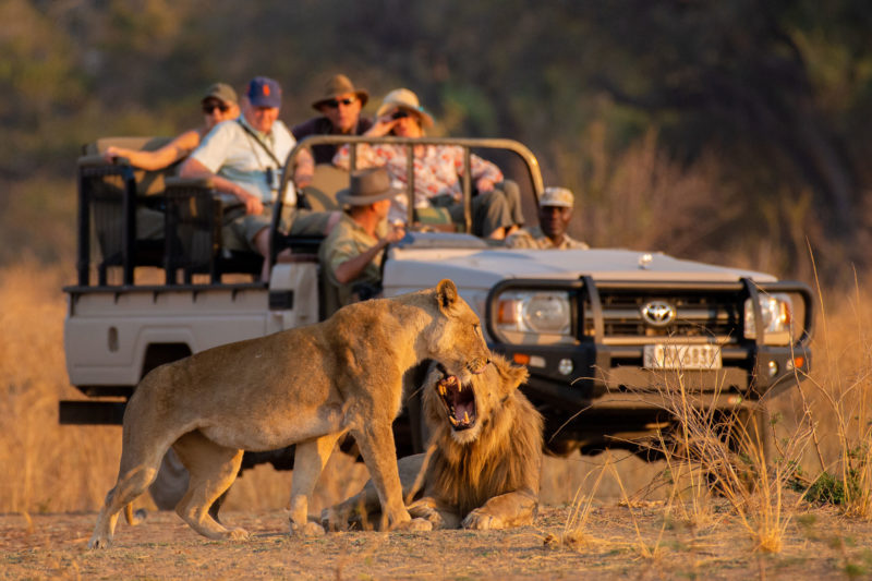 ZAMBEZI NATIONAL PARK GAME DRIVES