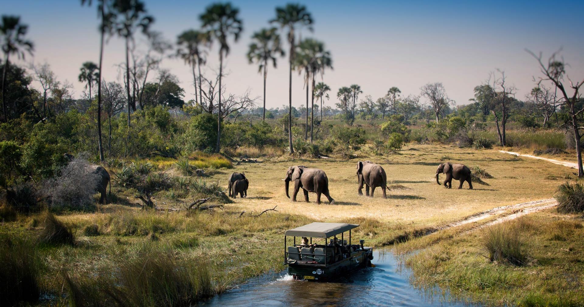 CHOBE (BOTSWANA) FULL DAY