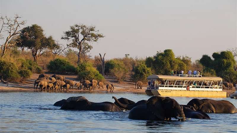 CHOBE (BOTSWANA) FULL DAY - Image 1