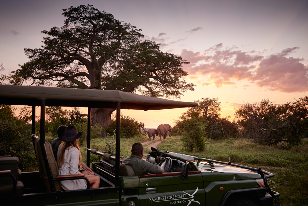 ZAMBEZI NATIONAL PARK GAME DRIVES - Image 1