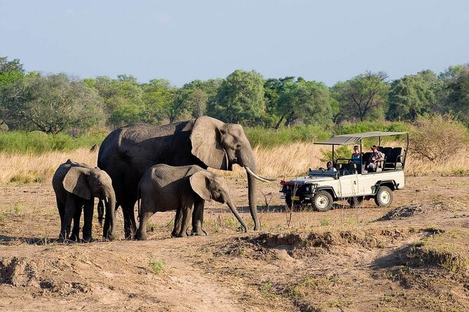 ZAMBEZI NATIONAL PARK GAME DRIVES - Image 2