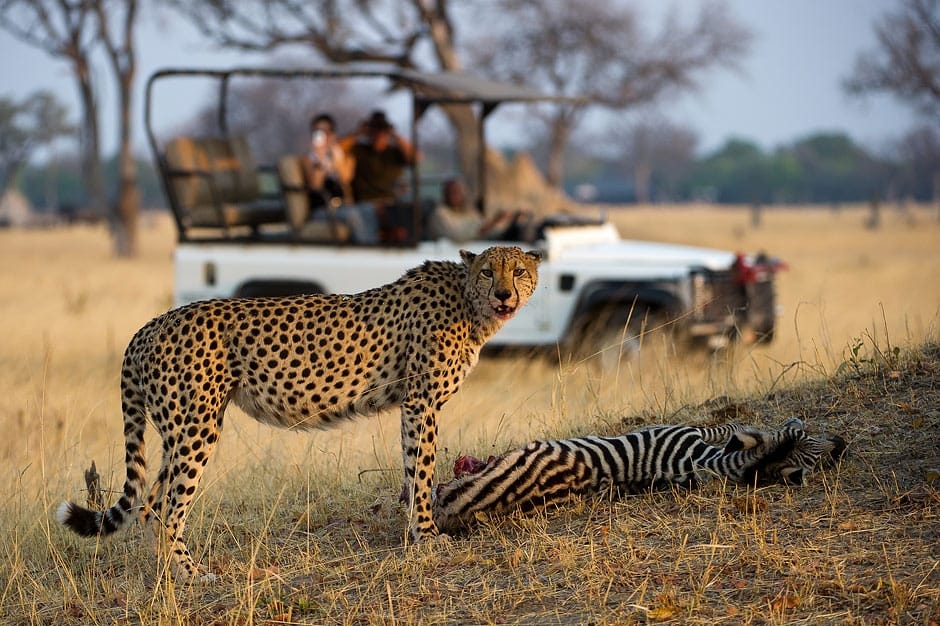 7 DAY TOUR AROUND ZIMBABWE