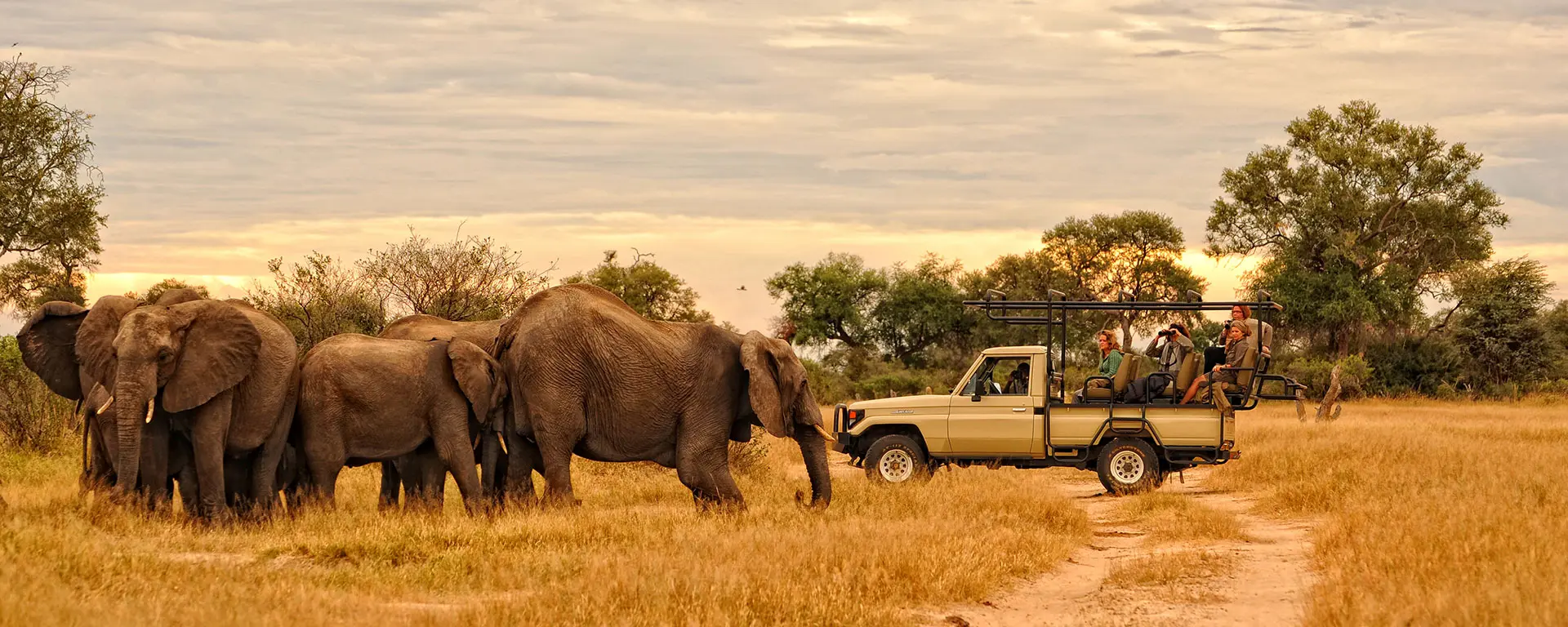 7 DAY TOUR AROUND ZIMBABWE - Image 2