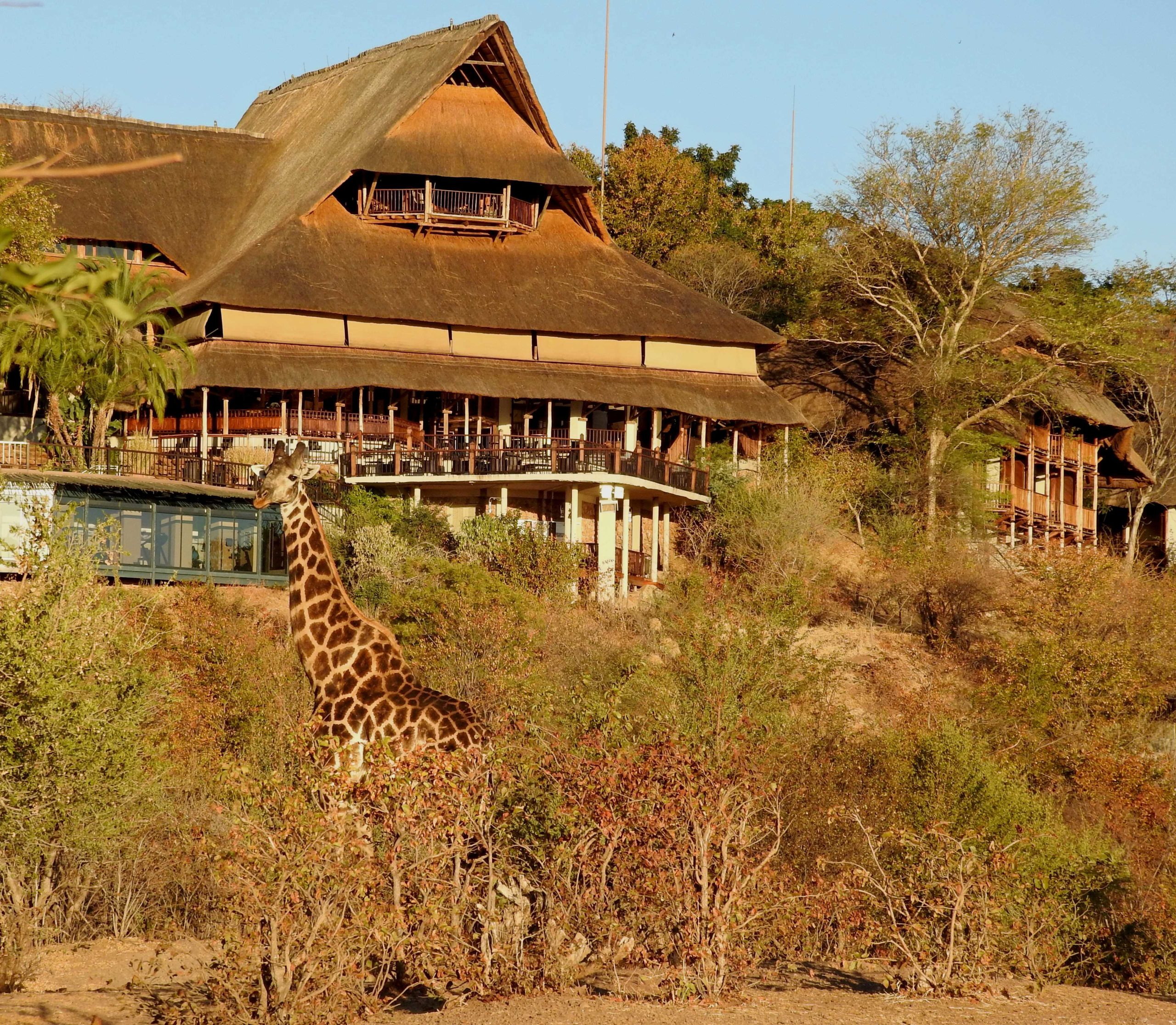 Victoria Falls Lodge